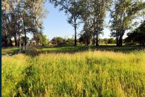 участок по адресу Окружна, 48