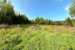 ділянка за адресою Під Митою вул.
