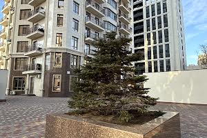 квартира за адресою Італійський бульв., 1А