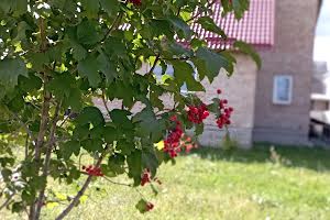 дом по адресу с. Забороль, Центральна, 14