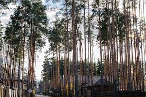 будинок за адресою Інститутська вул. (Артема)