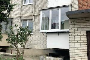 квартира за адресою Багряного Івана вул., 53