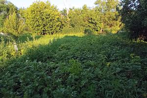 будинок за адресою Старотроїцька вул.