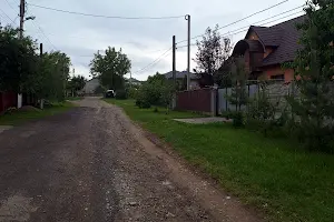 ділянка за адресою Новицького, 5