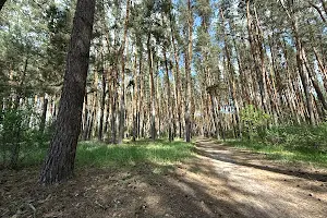 ділянка за адресою Слобідська вул., 15