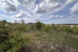 ділянка за адресою Багабунта
