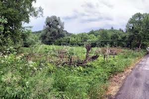 ділянка за адресою с. Великі Дмитровичі, 