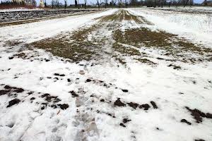 ділянка за адресою с. Великі Гаї, Галицька