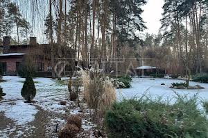 будинок за адресою бучанський