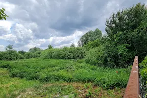 ділянка за адресою с. Рожни, Промислова