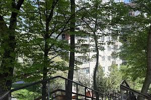 квартира за адресою Пасічна вул., 77