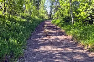 участок по адресу Миру