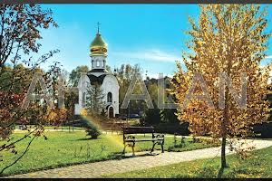 дом по адресу Виноградная ул.