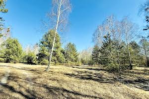 участок по адресу с. Дмитровка, Північна