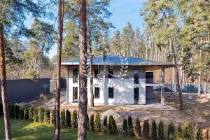 будинок за адресою с. Плюти, Плютовська вул.