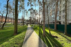 комерційна за адресою Соборна вул., 2