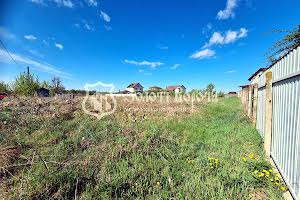 участок по адресу Прорізна вул., 35а