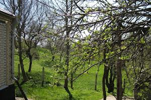 будинок за адресою Лісова, 1