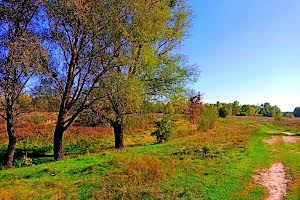 ділянка за адресою с. Клочків, Сновська