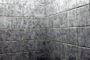 квартира за адресою Михайла Лушпи просп., 25