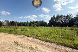 ділянка за адресою с. Гнідин, 