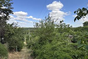 дом по адресу Євгена Сверстюка ул. (Тарасова)