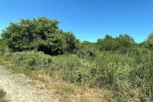 ділянка за адресою с. Оноківці, Карпатська, 3