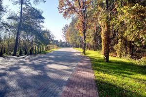 ділянка за адресою Щаслива