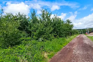 участок по адресу Виноградна