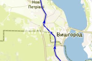 дом по адресу с. Старые петровцы, Перемоги, 6а
