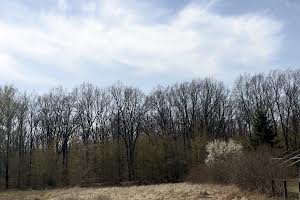 дом по адресу садова, 11
