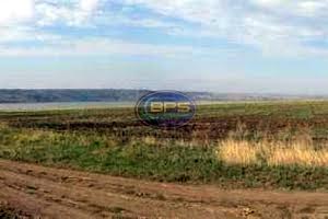ділянка за адресою с. Болгарка, Проект