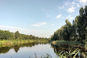 участок по адресу с. Ясногородка, Шевченко