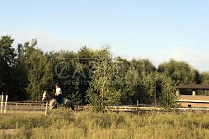 дом по адресу с. Дмитровка, Бучанський