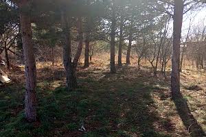 ділянка за адресою Озерна