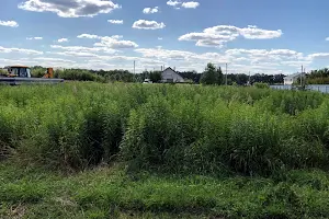 участок по адресу Вишнева