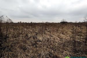 ділянка за адресою Польова