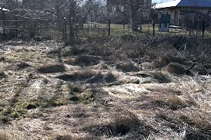 ділянка за адресою Дачна вул.