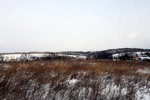 ділянка за адресою с. Лісники, Верського вул.