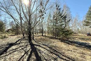 ділянка за адресою с. Дмитрівка, 