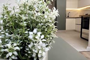 квартира за адресою Смакули вул., 7