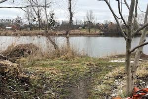 будинок за адресою Гризодубовоі