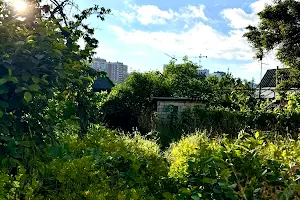 ділянка за адресою Миколи Куліша вул.
