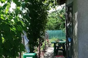 будинок за адресою Татарбунари, Горького