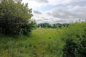 ділянка за адресою медова, 13