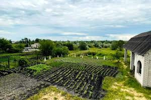 будинок за адресою Кременчук, Велика Кохнівка