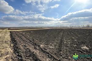 ділянка за адресою с. Підпечери, урочище Герегова долина