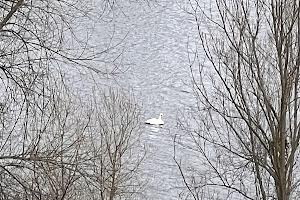 будинок за адресою Вінниця, Заньковецької вул.