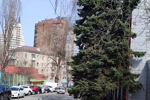 комерційна за адресою Володимира Винниченка вул. (Куйбишева), 6