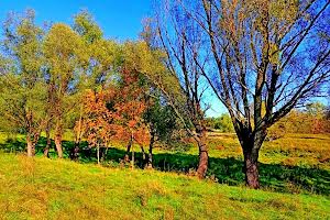 ділянка за адресою с. Клочків, Сновська